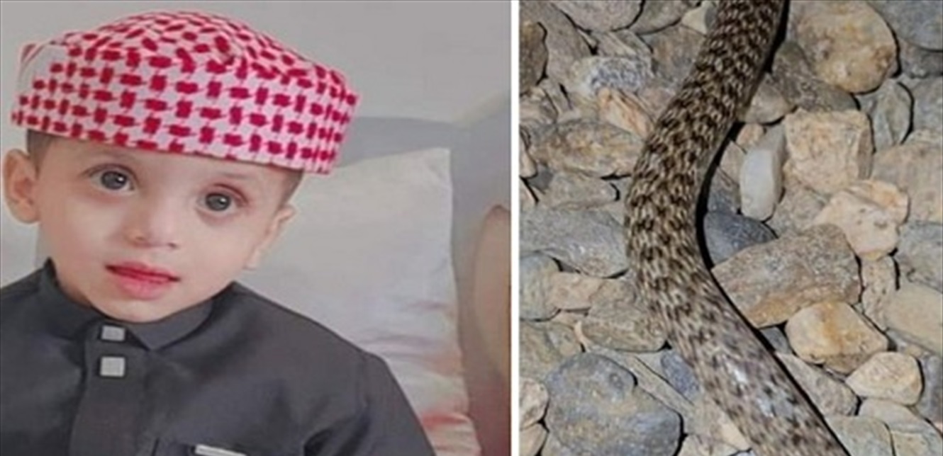 3-Year-Old Saudi Boy Bitten by Snake Saved in Record Time at Al-Darb General Hospital