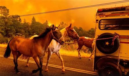 دمر عشرات المنازل.. حريق غابات في كاليفورنيا يتسبب بعمليات إجلاء في 4 مقاطعات (فيديو)